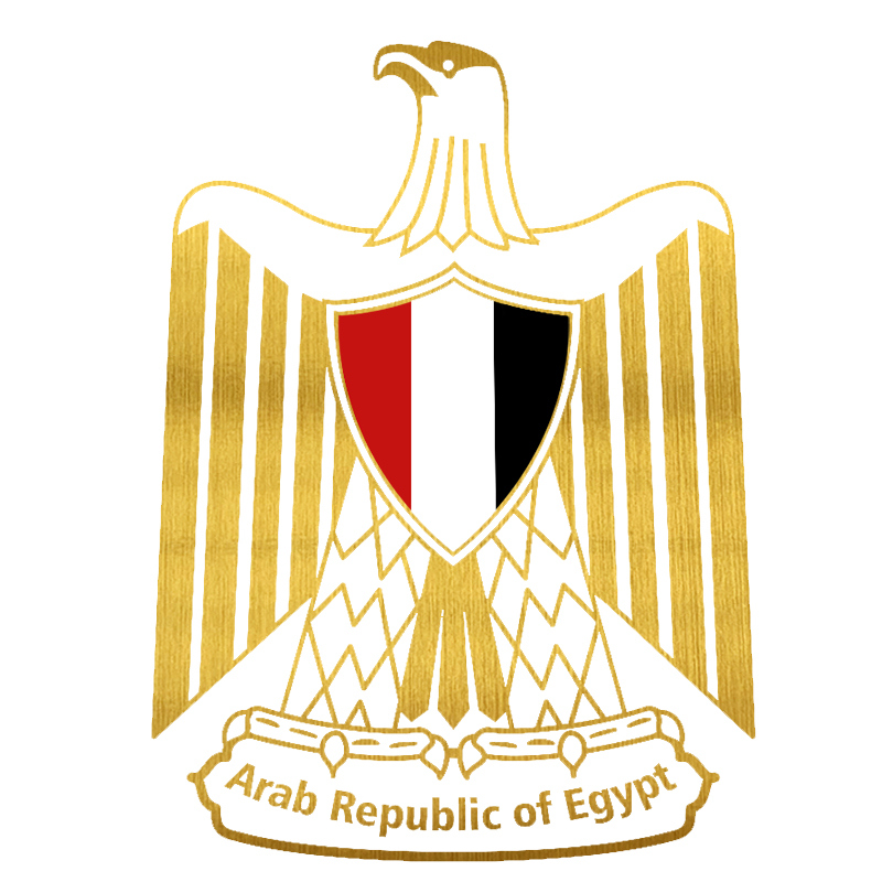 V1782 # 맞춤형 제작 비닐 데칼 코트, 이집트 자 - Car Accessories Egypt 리뷰 및 가격